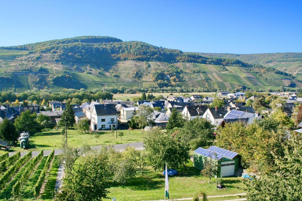Hotel Restaurant Moselblick Винтрих Экстерьер фото