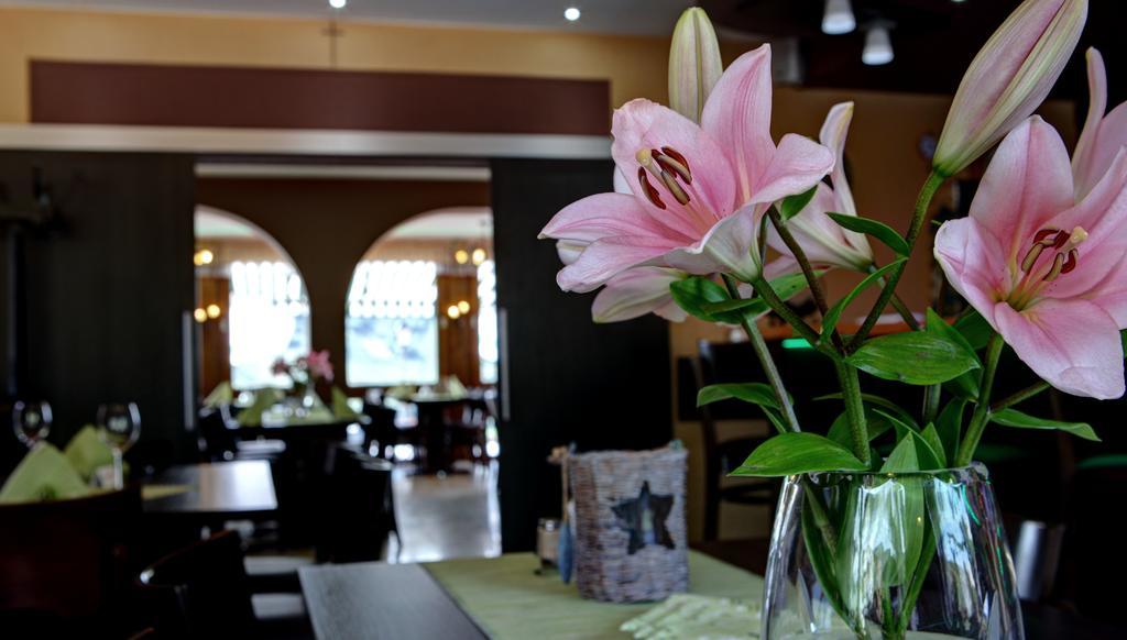 Hotel Restaurant Moselblick Винтрих Экстерьер фото